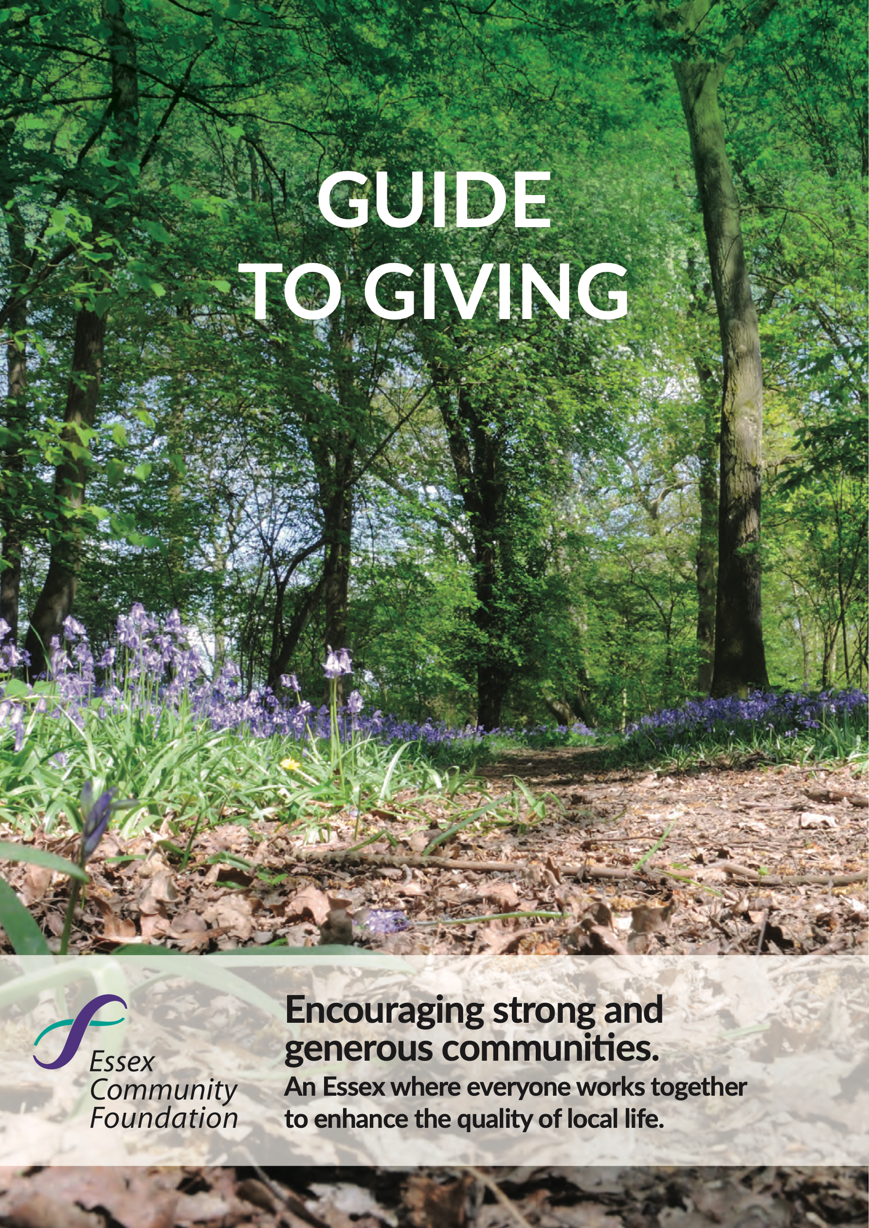 Giving Tutorial Image Guide to Giving
