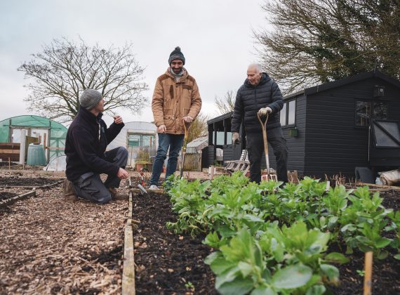 Harvest Time at Trust Links Growing Together community Gardens