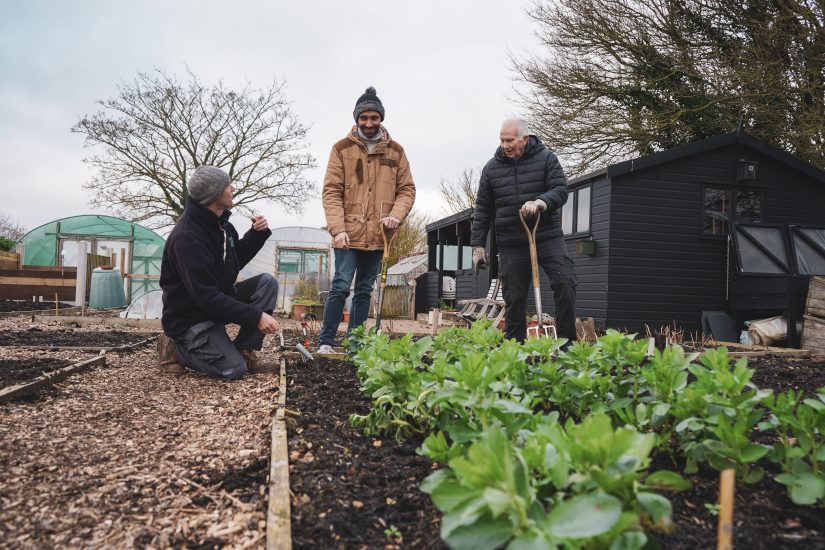 Harvest Time at Trust Links Growing Together community Gardens